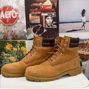Timberland Men's Brown Nubuck Boots